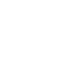 لنت پارس
